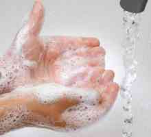 Globalni dan pranja ruku i druge praznike u oktobru