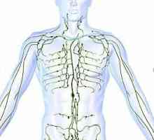 Sjećanje škola anatomije naravno: gdje su ljudi limfnih čvorova