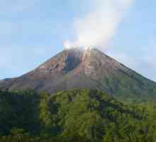 Vulkana svijeta Mount Merapi, Koryak, Sakurajima, Colima, Mauna Loa, Nyiragongo, Mount Rainier,…