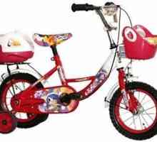 Izbor bicikl četiri točka za dijete