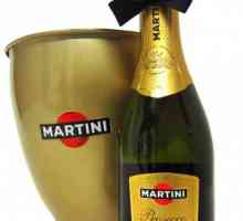 Odabrati, piće i snack pjenušac Martini Prosecco