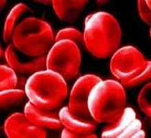 Zašto moram znati identifikaciju krvne grupe?