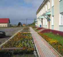 Turističko naselje "Mechka" (Novodvinsk, Arkhangelsk regija): opis, uslovi, fotografije