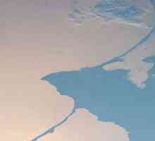 Curonian Bay Baltičko more: opis, temperatura vode i podvodnog svijeta