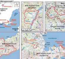 Rezerva "Magadan": flora i fauna