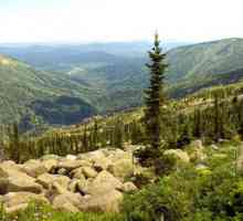 Rezerva Tigireksky: Zaštićena područja u Altai Territory