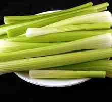 Zdrave ishrane ili jedu celer.