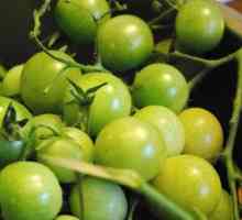 Zeleni paradajz ispod pokrivača najlon - kuhanje recepti