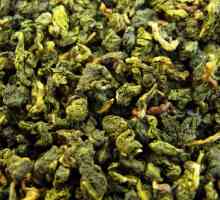 Zeleni čaj "Milk Oolong" - korisne osobine i kontraindikacije