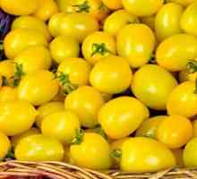 Žuta paradajz za zimu: recepti