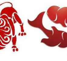 Ženski lav i muška riba: kompatibilnost parova