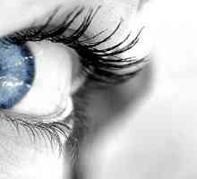 Kruti gas propusna kontaktne leće: mišljenja, proizvodnje. Briga za tvrde kontaktne leće:…