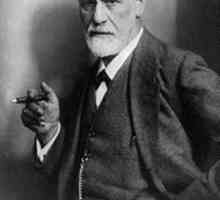 Sigmund Freud - osnivač psihoanalize. Što znači, prema Frojdu, naše ponašanje?