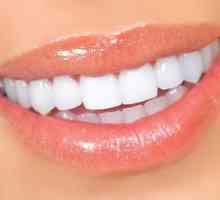 Umjetnih zubi: vrste i karakteristike