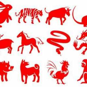 1971 - Godina životinja na istočnoj kalendaru? Karakteristike 1971 znakova