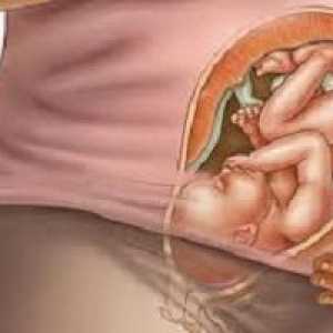 38 Tjedna trudnoće: dijete aktivno kreće noć