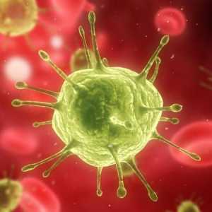 Adenovirus (adenovirus) - što je to? Kako tretirati adenovirus?