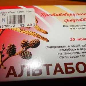"Altabor": upute za korištenje tableta