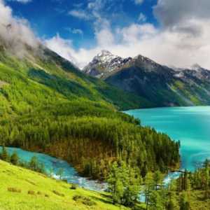 Altai balzami - ovi ostave Majka Priroda