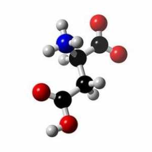 Amino kiseline - posebni organskih spojeva