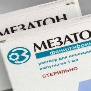 Analoga "mezaton" u Rusiji: popis, opis i uputstvo za upotrebu