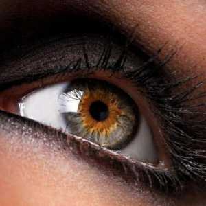 Angiopatija retine na oba oka - šta je to i kako tretirati?