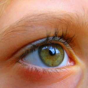Angiopatija mrežnjače oka: uzroci, simptomi i metode tretiranja