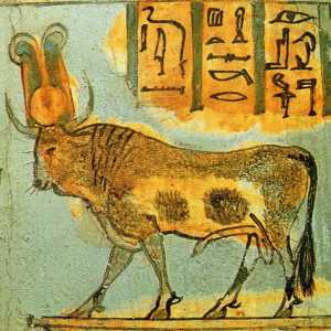 Apis - sveti bik Egipta
