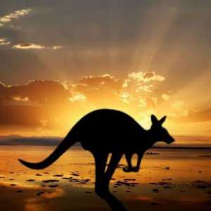 Australija, zanimljivosti - najviša planina, najveća rijeka i najopasnija životinja u Australiji