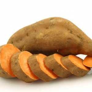 Sweet Potato Recepti ukusna jela