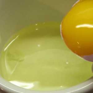 Protein omlet: recept