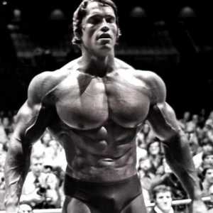 Biografija Arnold Schwarzenegger - slavni glumac i bodibildera