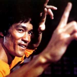 Biografija Bruce Lee - najbriljantniji majstor kung-fu xx veka