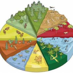 Biodiverziteta. Koji uključuje klima-zemlja stanište?