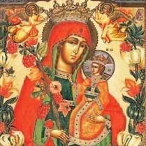 Hail Mary "besmrtan boje." Vrijednost ikonu i njenu istoriju