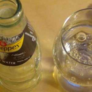 Brand "Schweppes" - piće i njenu istoriju