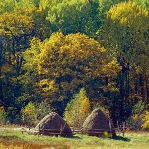 "Kharkov šuma" - rezervat biosfere UNESCO-a