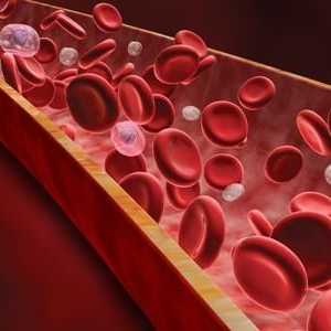 Buffer krvi sisteme i njihovu ulogu u homeostazi