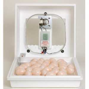 Inkubator kući "nosilja". Inkubator "nosilja": opis, uputstva, recenzije.…