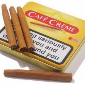 Cafe Creme (cigarilose) - broj 1 brend u svijetu