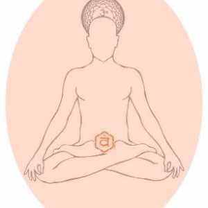 Chakra Svadhisthana. Svadhisthana Chakra - objavljivanje. Svadhisthana (čakra) - kako razviti?