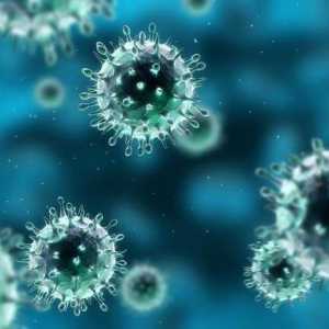 Opasna enterovirus infekcije kod odraslih?