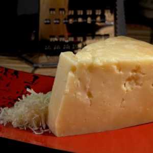 Ono što može zamijeniti parmezana Cezara? Kako sir se može zamijeniti sa parmezanom?