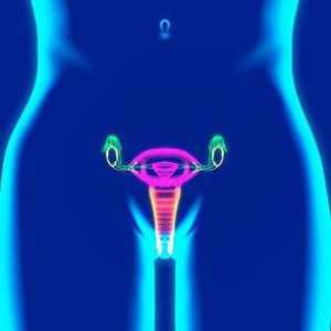 Izgreban klitoris: uzroci, liječenje i prevenciju bolesti