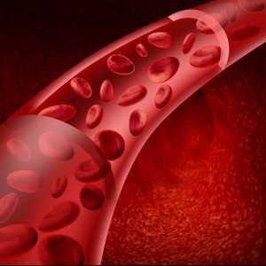 Čime se osigurava kontinuitet kretanja krvi kroz sudove? Kontinuitet i uzrokuje protok krvi