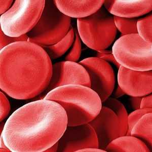 Što povećava hemoglobina u krvi: i lijekove naroda
