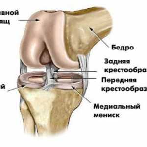 Ono što je MRI zgloba koljena kao rade da će MR koljena?