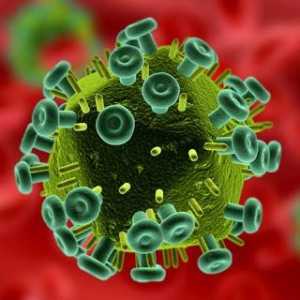 Što je AIDS-a i HIV-a