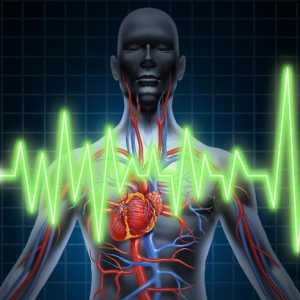 Koja je svakodnevno praćenje EKG Holter?