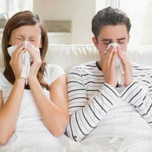 Šta treba da znate o virus gripa?